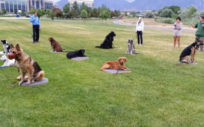 Group Training